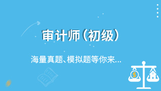 审计师（初级）